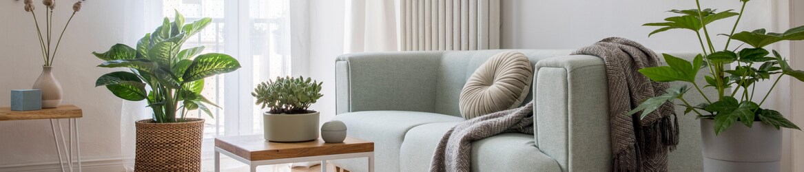 Kurzzeitvermietung unter Beobachtung: Was Airbnb-Vermieter ab Mai 2026 beachten müssen